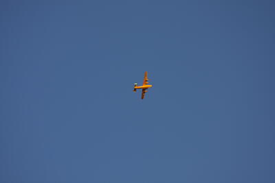 IMG 2025